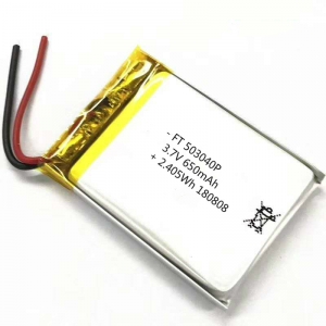 pacco batteria tampone li-ploymer personalizzato 503040