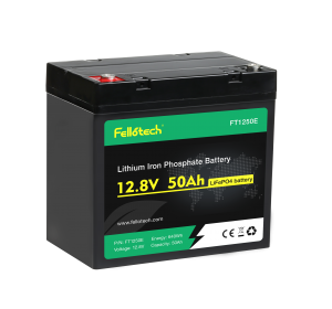 Batteria al piombo sostitutiva del pacco batteria ft1250e 12v 50ah lifepo4