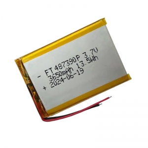 3.7 v 3650 mAh batterie ai polimeri di litio ft487390p