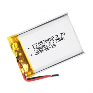 Batterie ai polimeri di litio da 3,7 V 750 mAh ft653040ph
