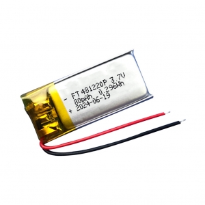 Batteria ai polimeri di litio da 3,7 v 80 mah ft481220p